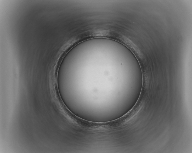 X0000111490721200907211009