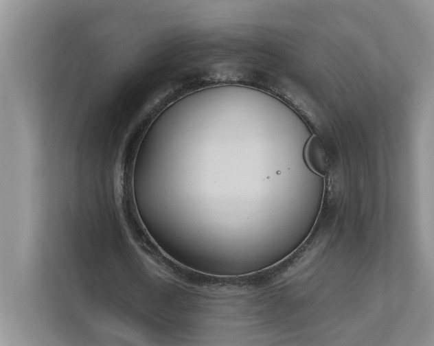 X0000111490722200907211009