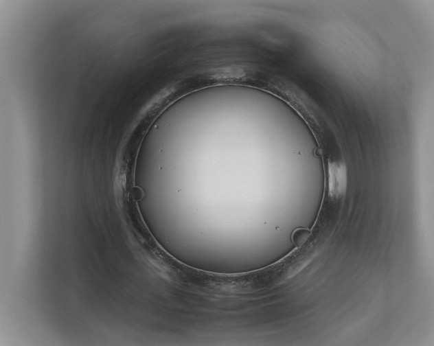 X0000111490723200907211009