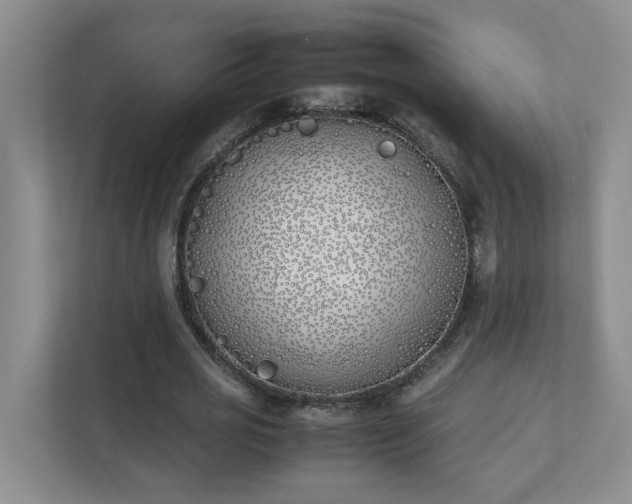 X0000111490725200907211009