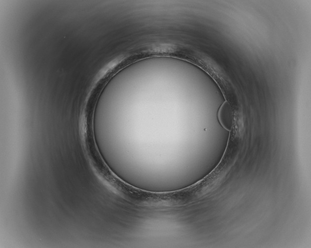 X0000111490726200907211009