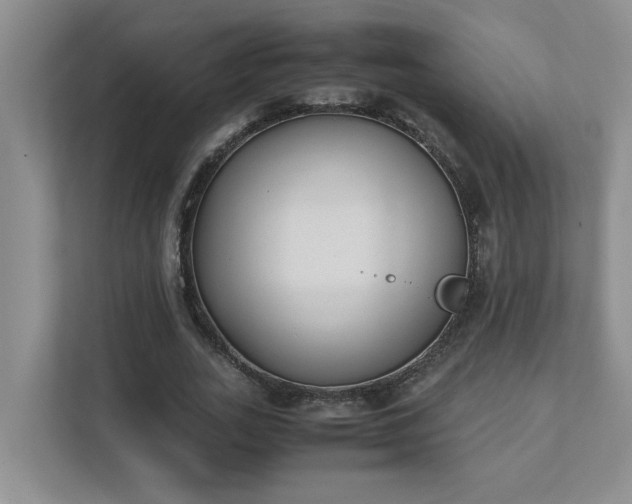 X0000111490727200907211009