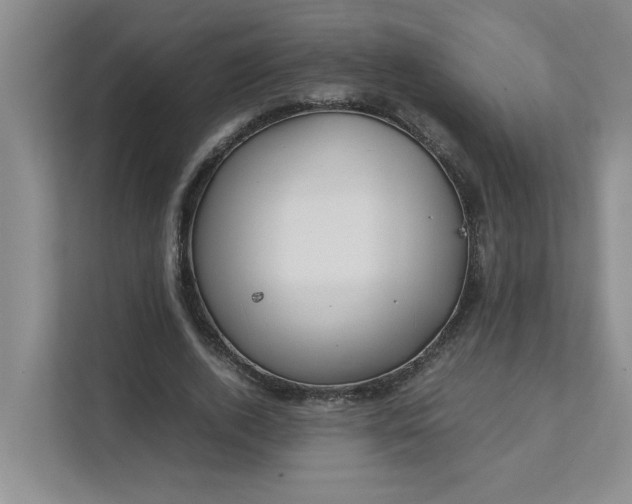 X0000111490728200907211009