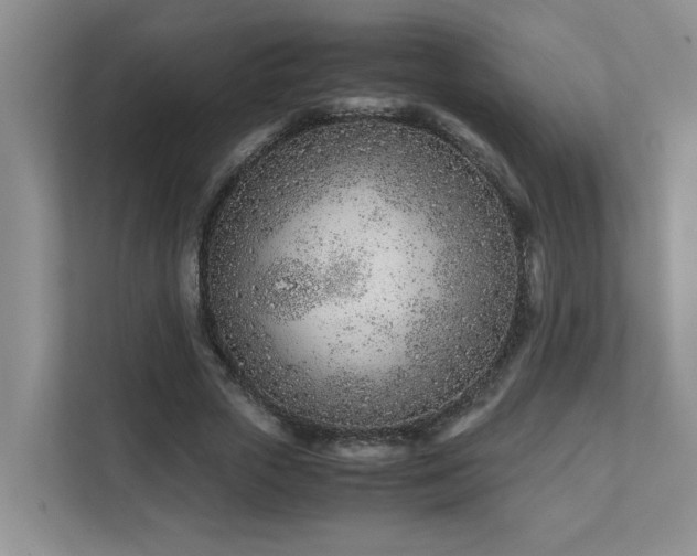 X0000111490729200907211009