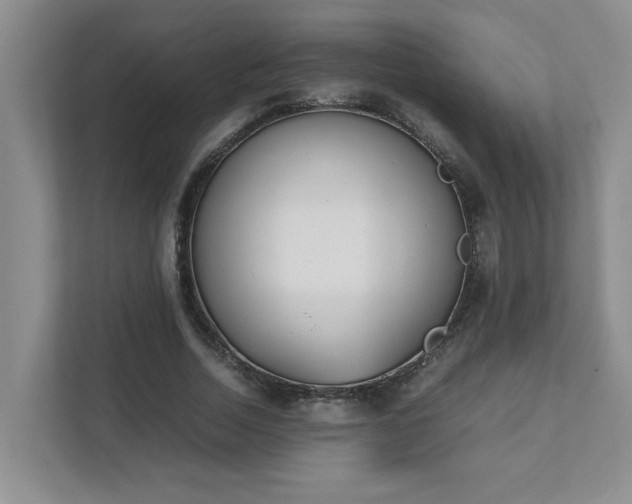 X0000111490730200907211009