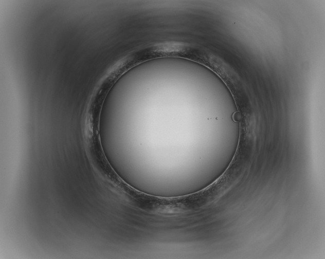 X0000111490731200907211009