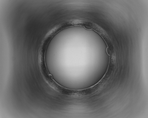 X0000111490732200907211009