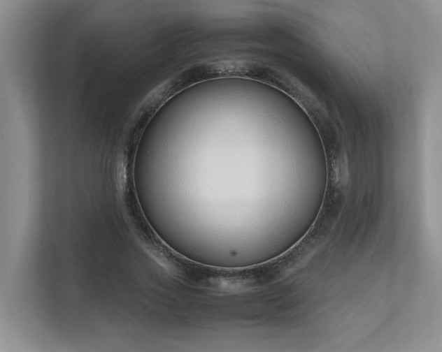 X0000111490733200907211009