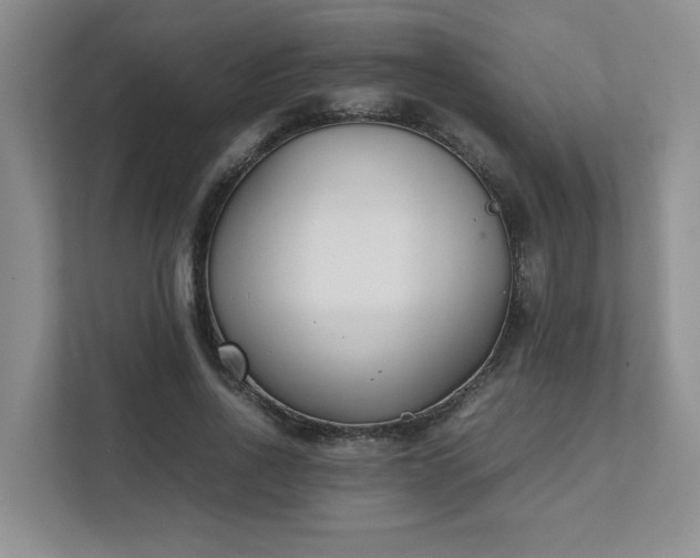 X0000111490734200907211009