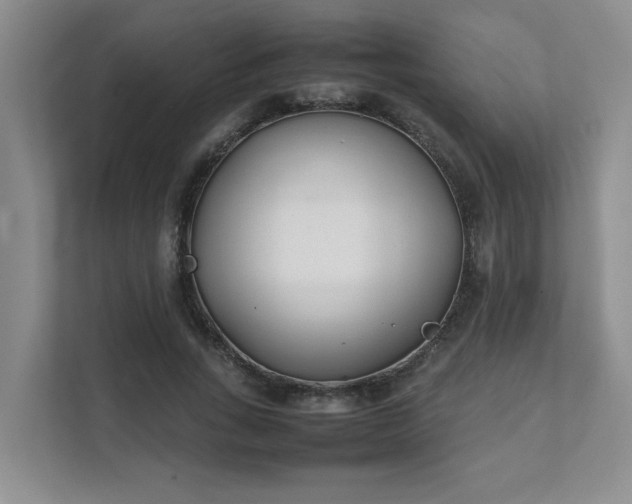 X0000111490735200907211009