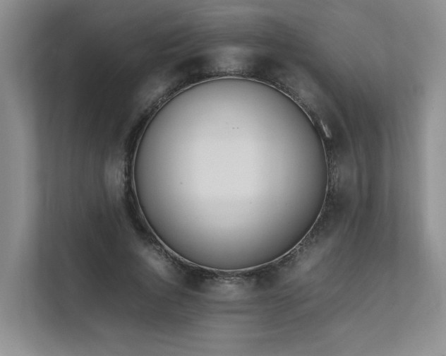 X0000111490736200907211009