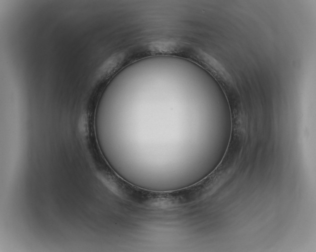 X0000111490738200907211009