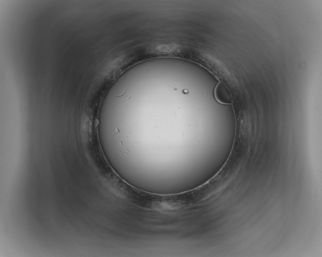 X0000111490739200907211009