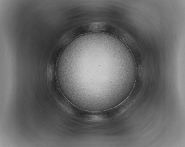 X0000111490741200907211009