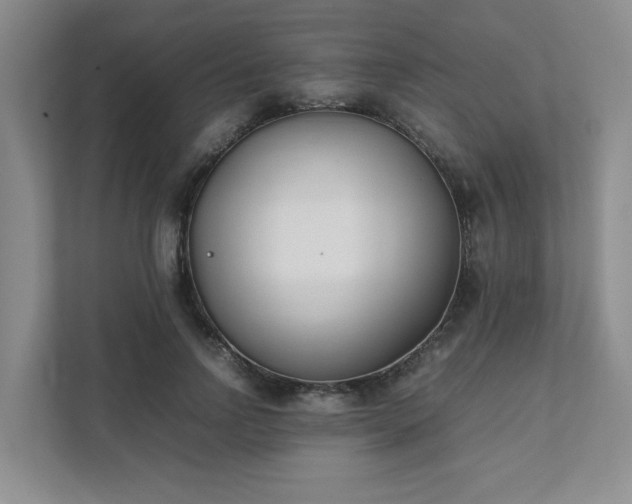 X0000111490742200907211009