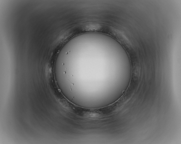 X0000111490743200907211009