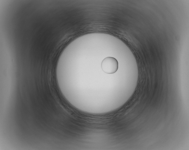 X0000111490744200907211009