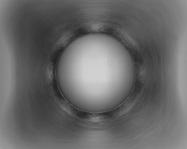 X0000111490746200907211009