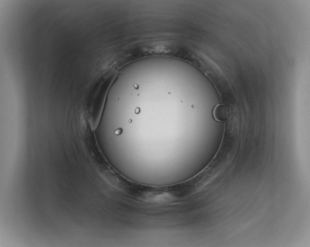 X0000111490747200907211009