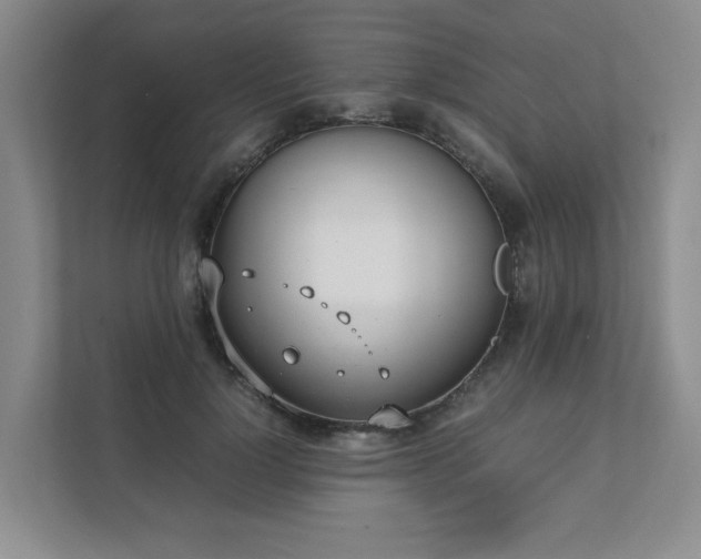 X0000111490748200907211009