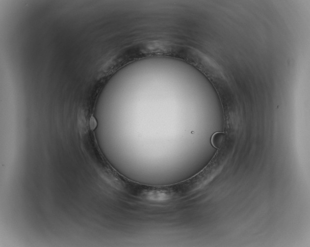 X0000111490751200907211009