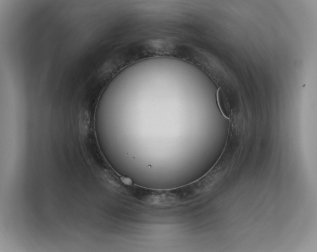 X0000111490752200907211009