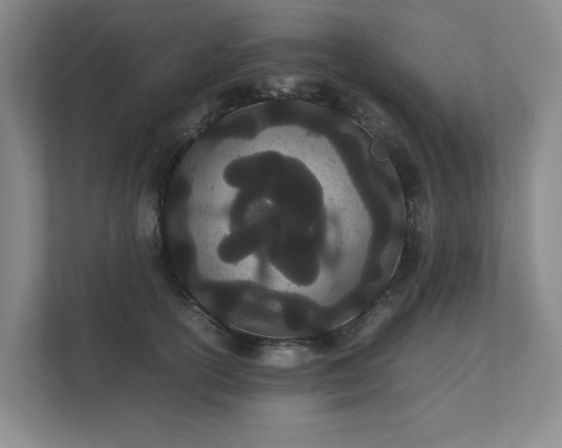 X0000111490754200907211009