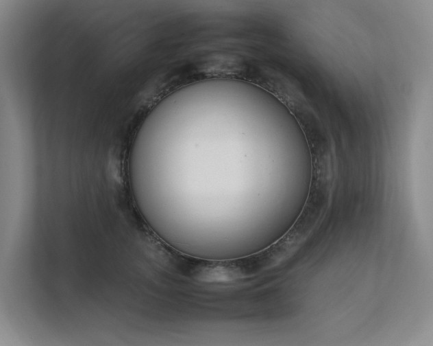 X0000111490755200907211009