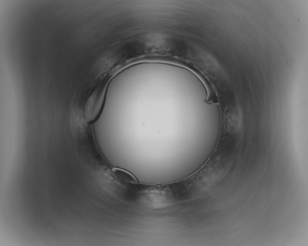 X0000111490756200907211009