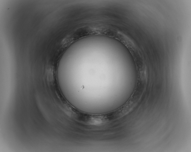 X0000111490757200907211009