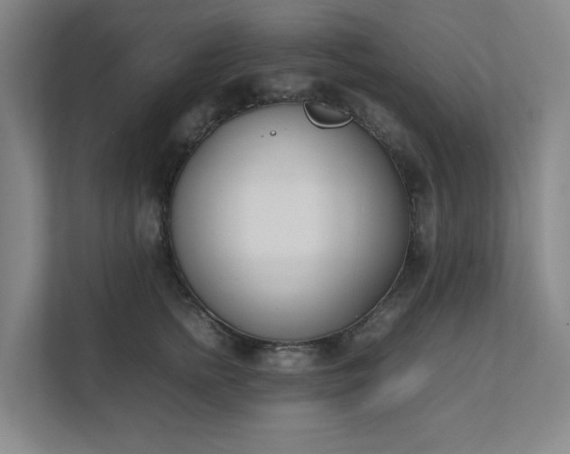 X0000111490758200907211009