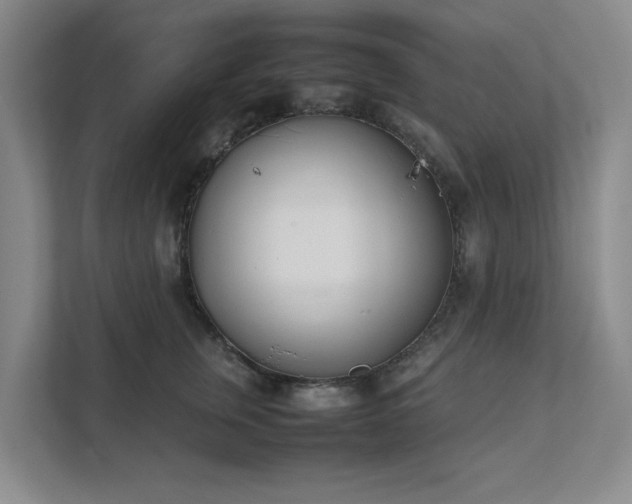 X0000111490759200907211009