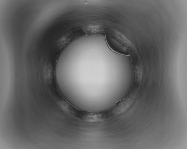 X0000111490760200907211009