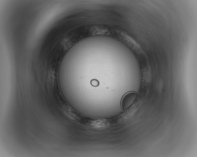 X0000111490761200907211009