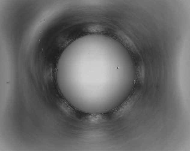 X0000111490762200907211009