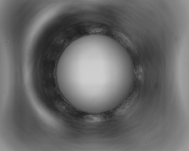 X0000111490763200907211009