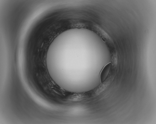 X0000111490764200907211009