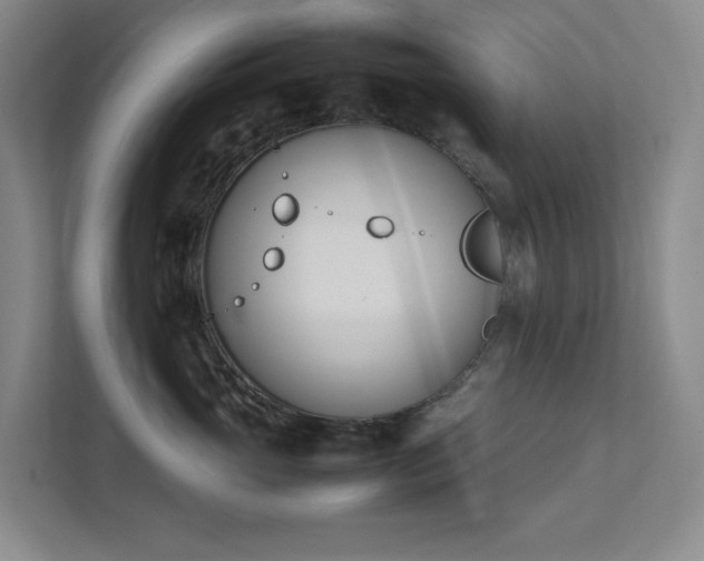 X0000111490765200907211009