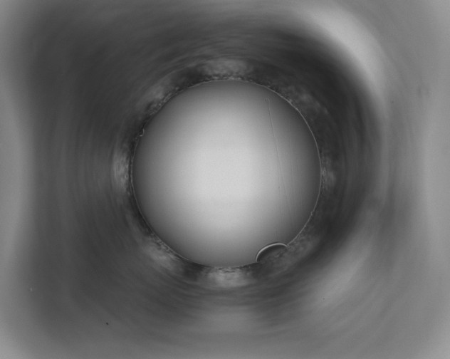 X0000111490767200907211009