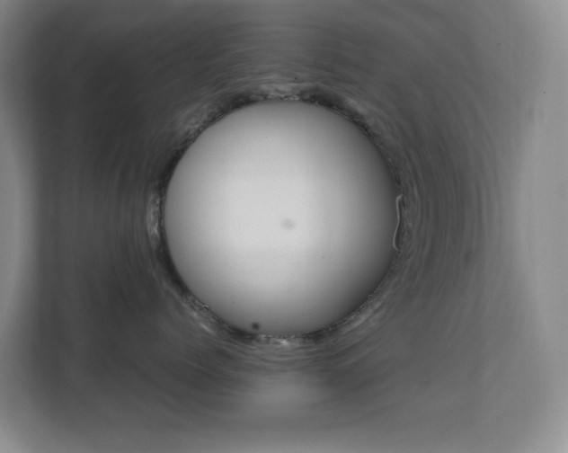 X0000111490768200907211009