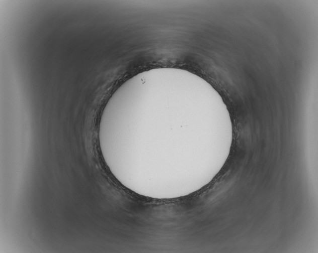 X0000111490769200907211009