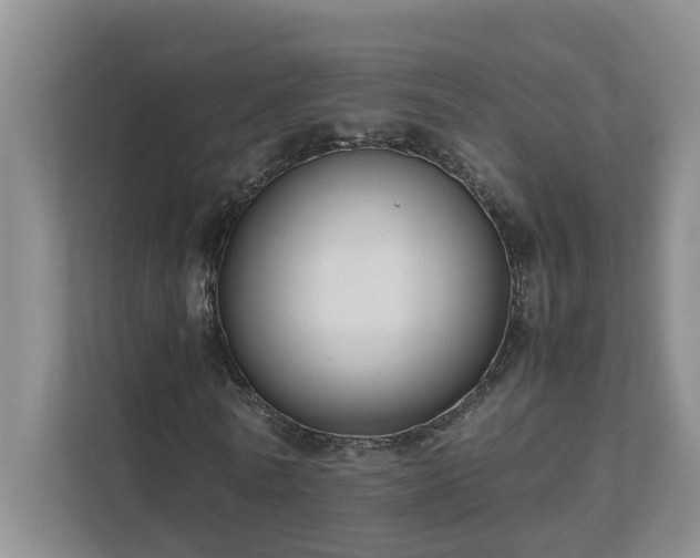 X0000111490770200907211009