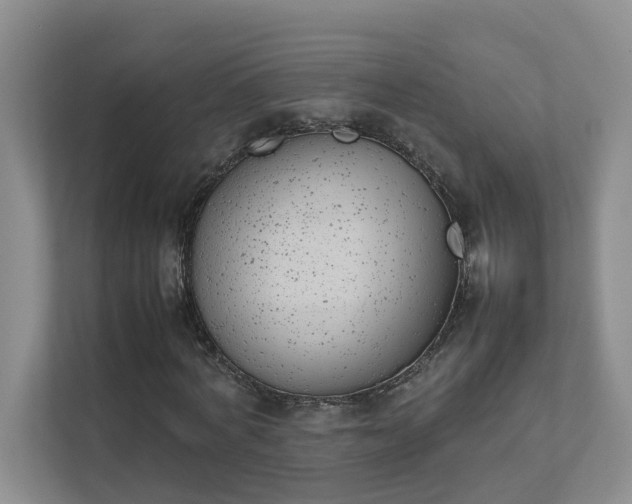 X0000111490772200907211009