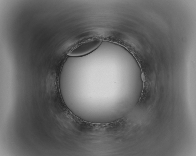 X0000111490773200907211008