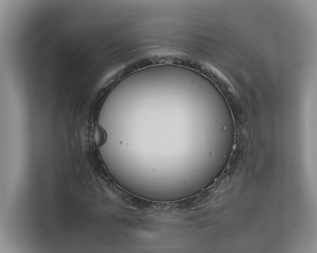 X0000111490775200907211008