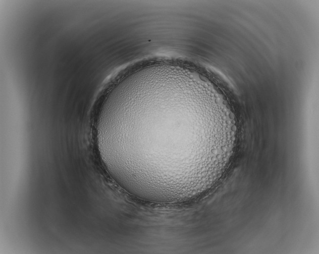 X0000111490776200907211008