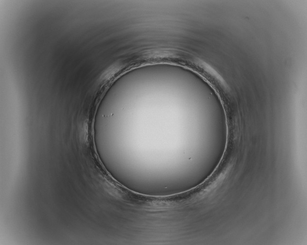 X0000111490777200907211008