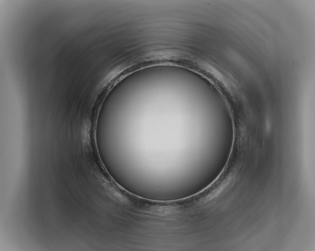 X0000111490778200907211008