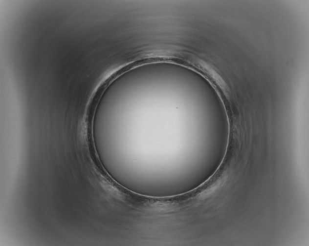 X0000111490779200907211008