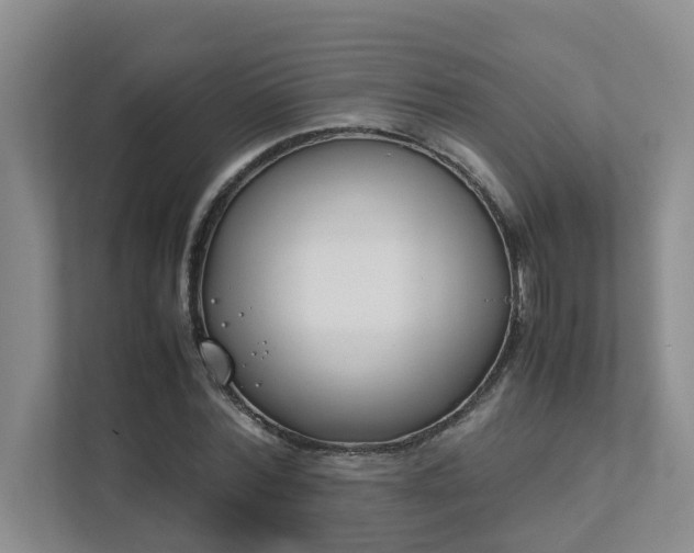 X0000111490780200907211008